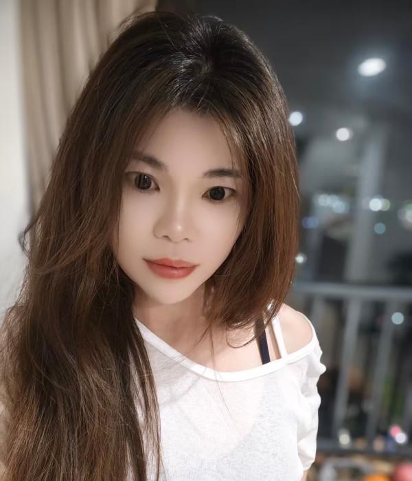 顺德小野猫