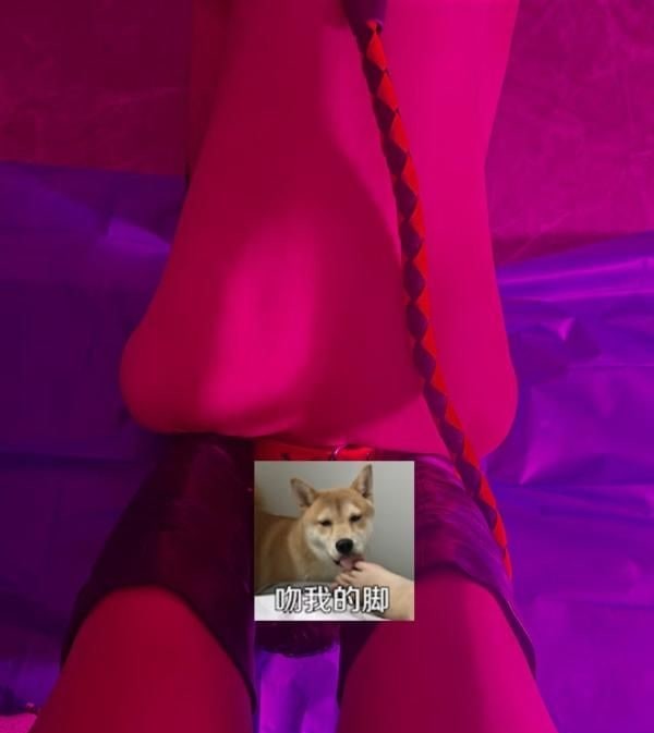 苏州最骚妇S女王如意